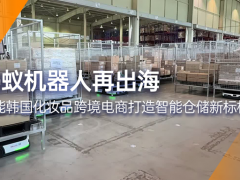 螞蟻機(jī)器人|賦能韓國跨境電商企業(yè)打造智能倉儲(chǔ)新標(biāo)桿